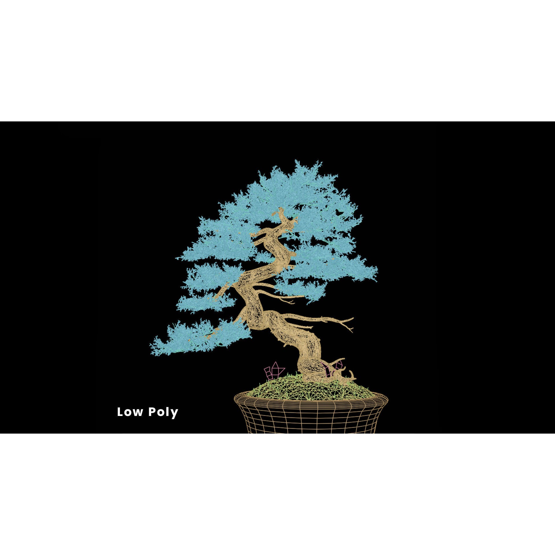 Chinese Juniper Bonsai - Low-Poly Game-Ready 3D Model - View 30