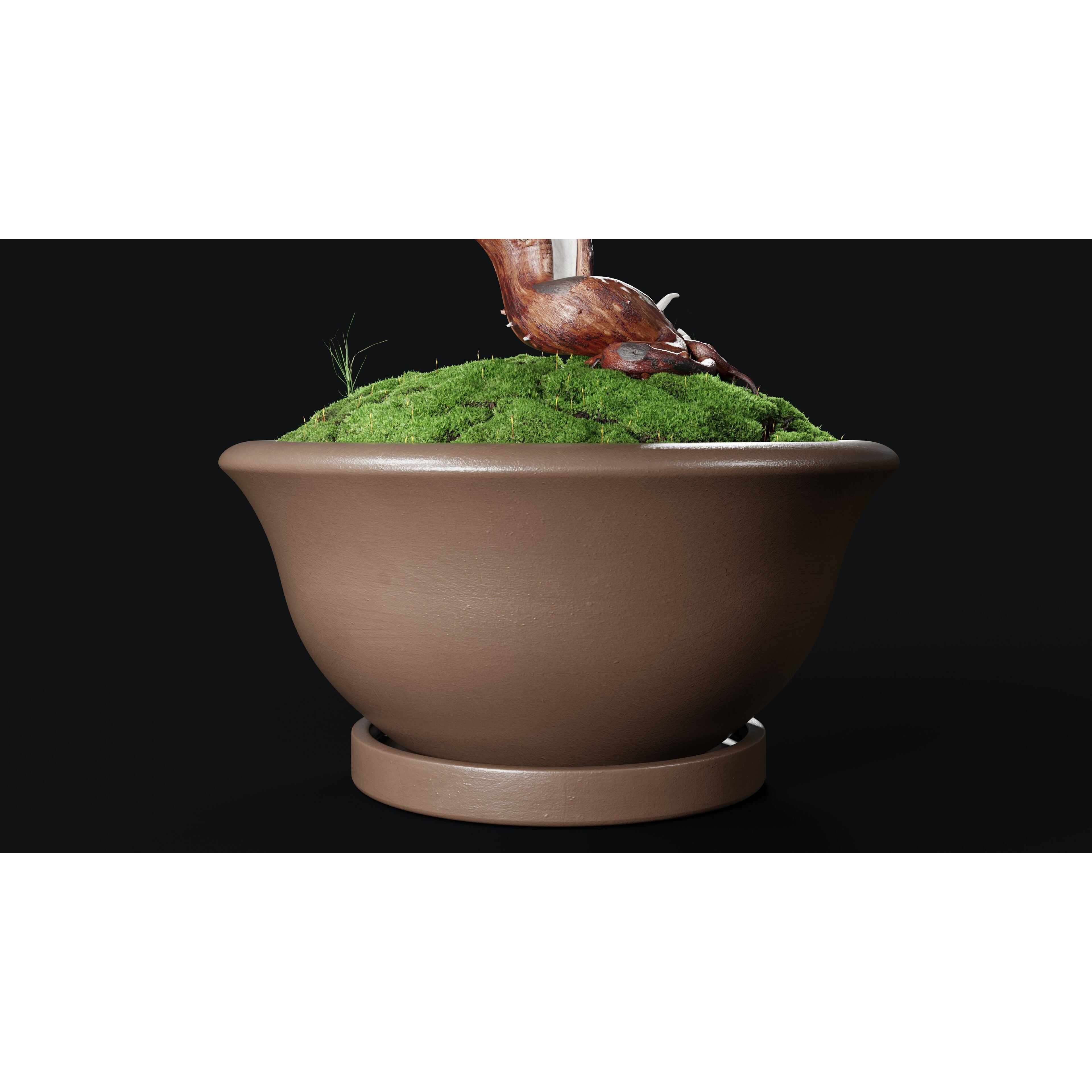 Chinese Juniper Bonsai - Low-Poly Game-Ready 3D Model - View 4