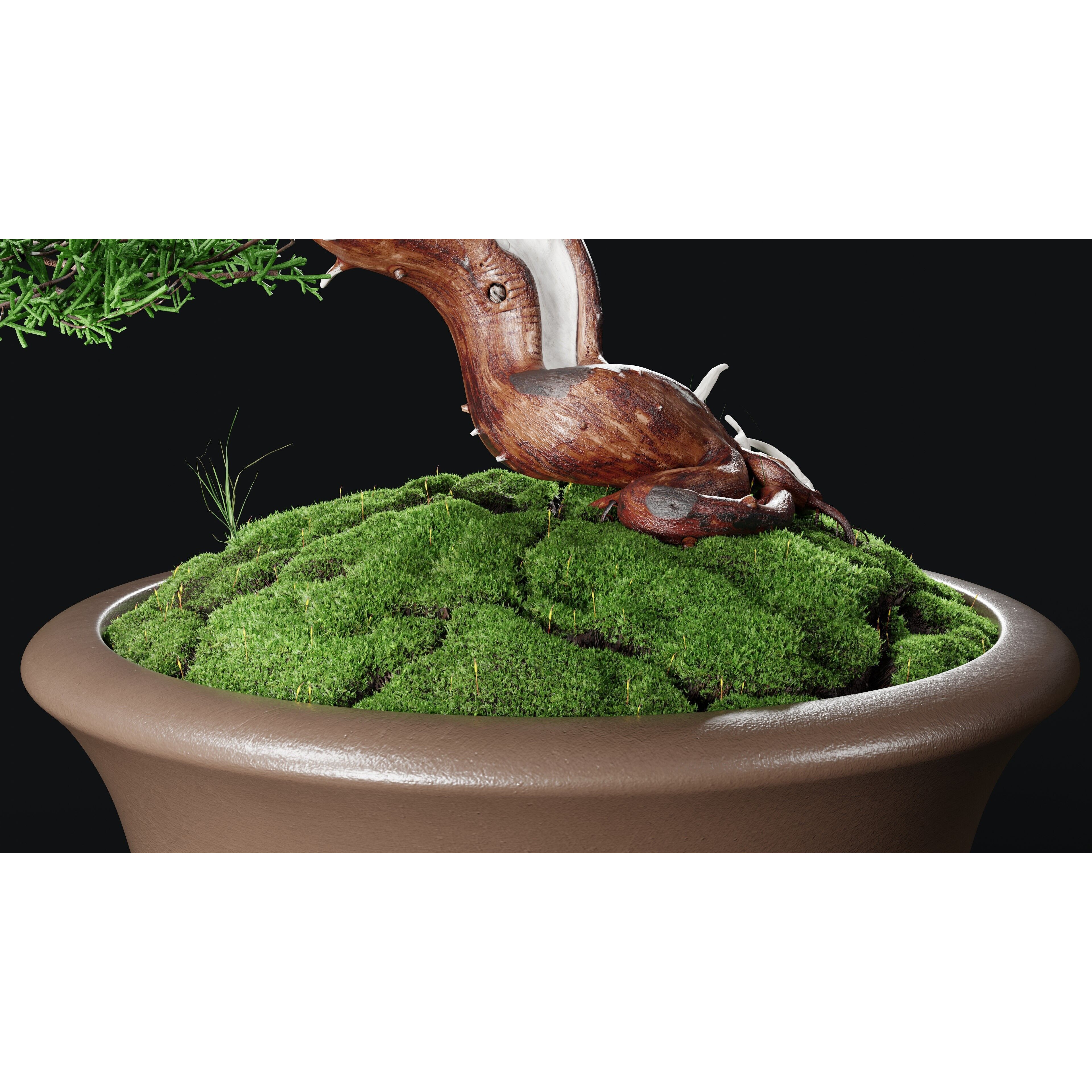 Chinese Juniper Bonsai - Low-Poly Game-Ready 3D Model - View 5