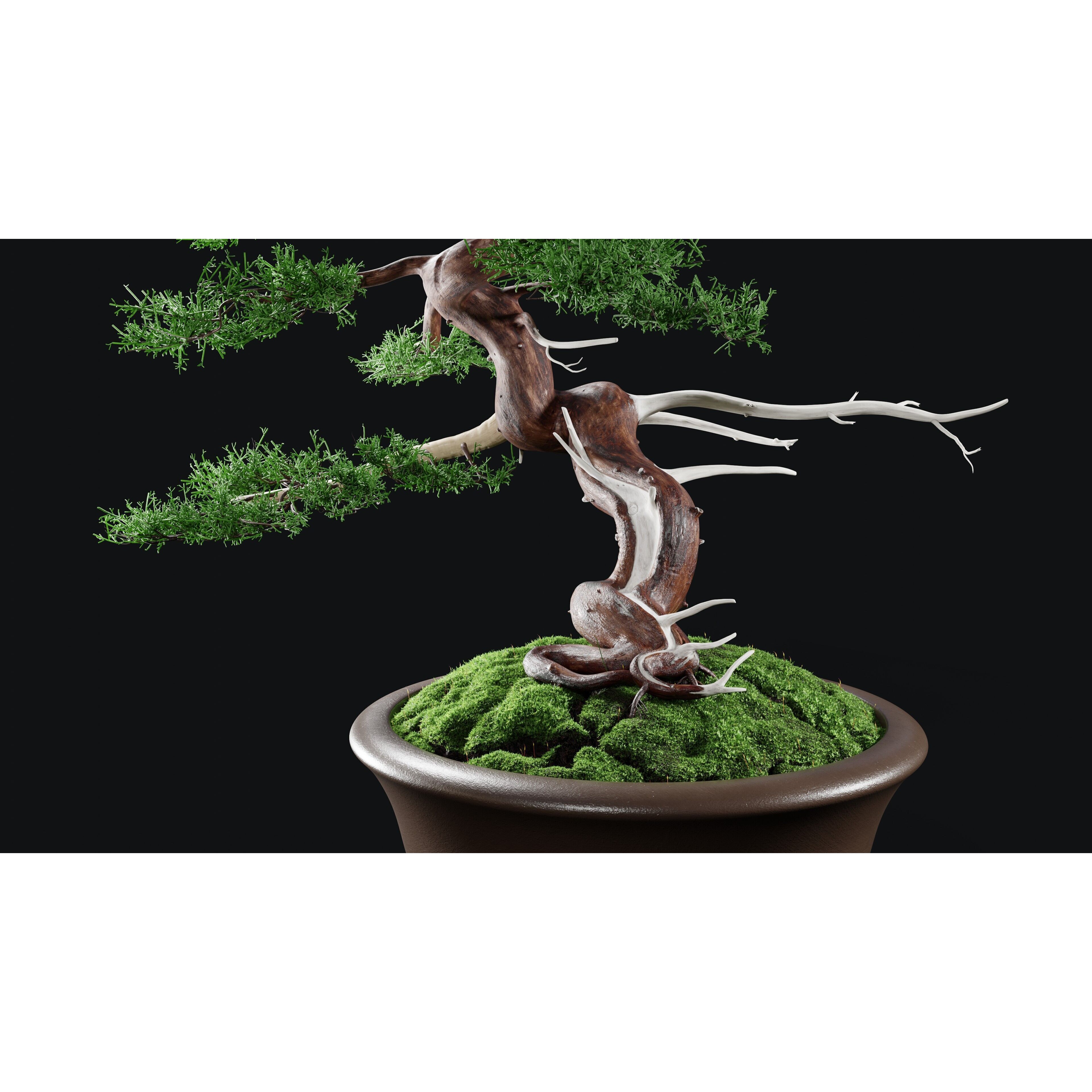 Chinese Juniper Bonsai - Low-Poly Game-Ready 3D Model - View 6