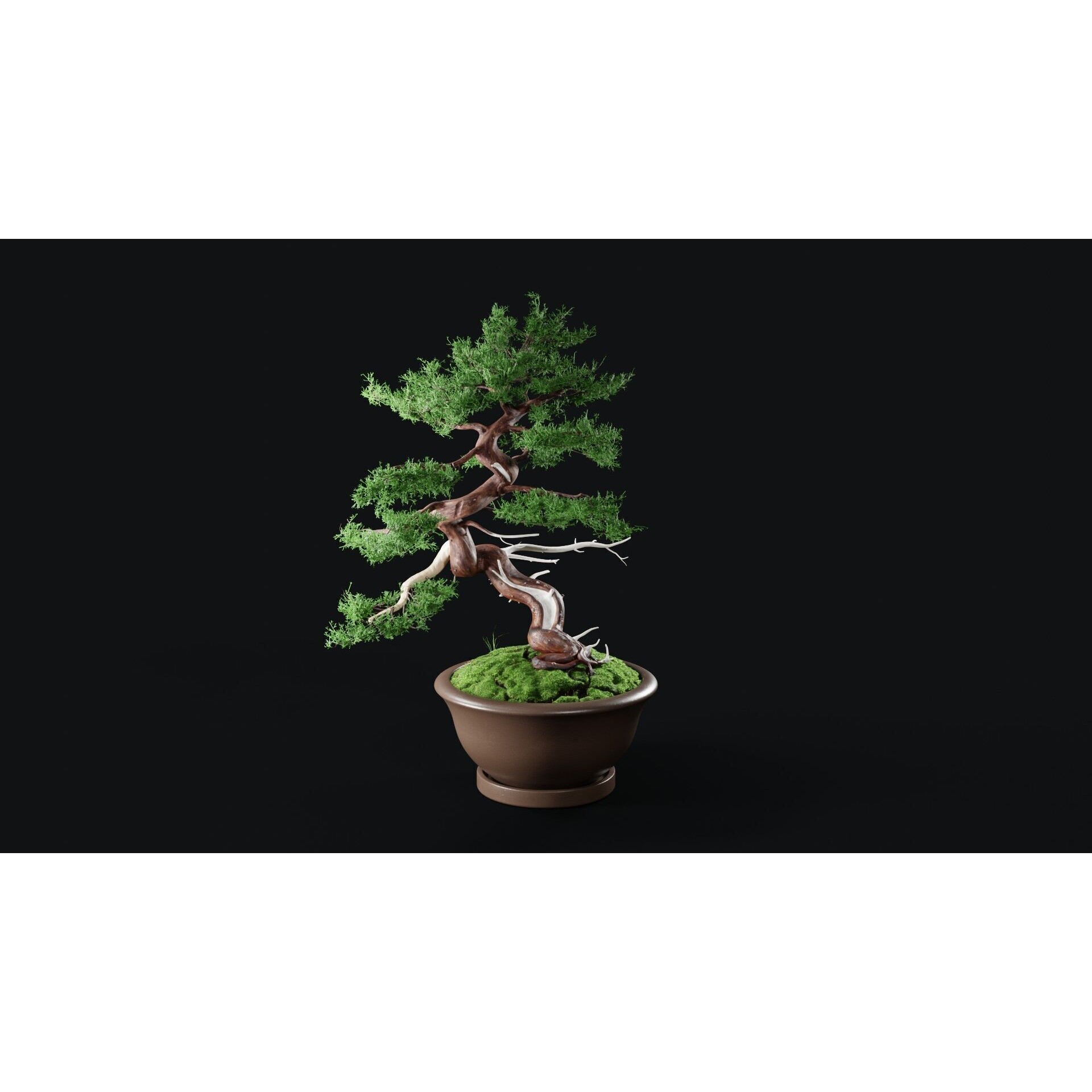 Chinese Juniper Bonsai - Low-Poly Game-Ready 3D Model - View 7