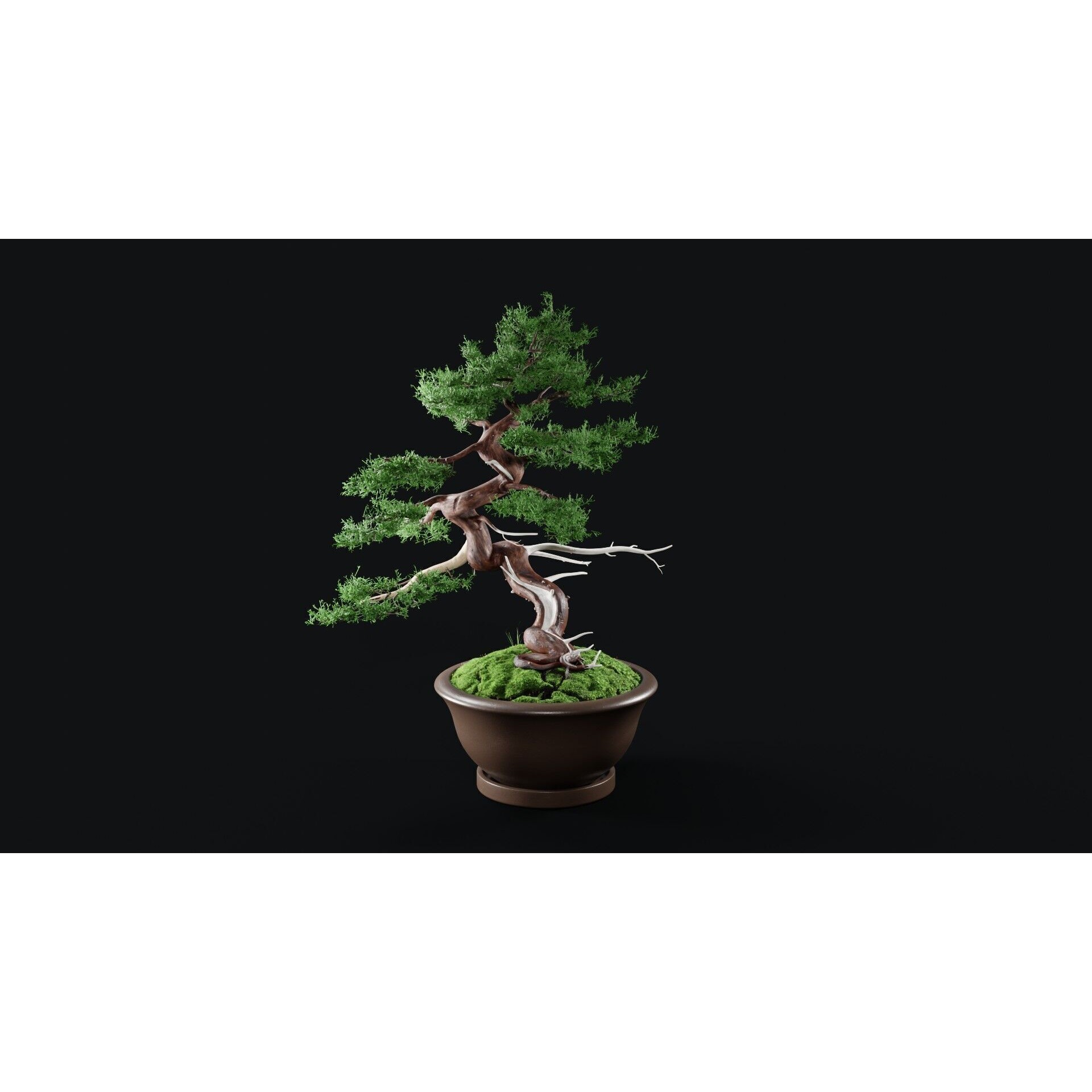 Chinese Juniper Bonsai - Low-Poly Game-Ready 3D Model - View 8