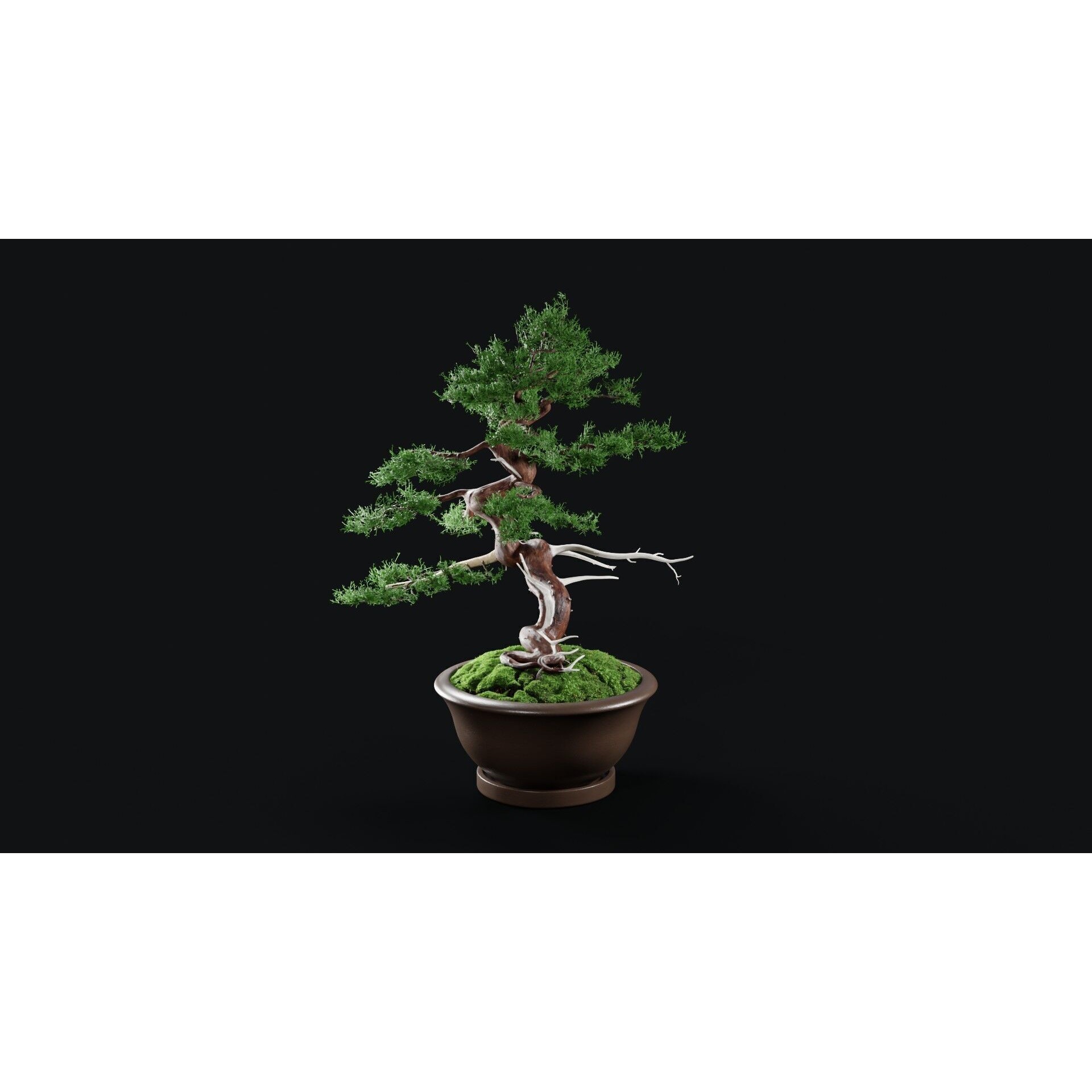 Chinese Juniper Bonsai - Low-Poly Game-Ready 3D Model - View 9