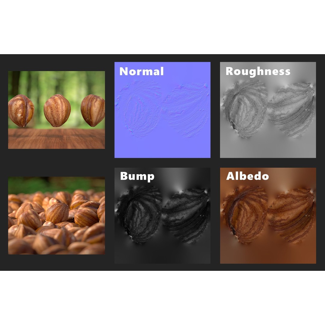 Hazelnut Kernel 3D Model – Low Poly Food Asset, FBX, OBJ