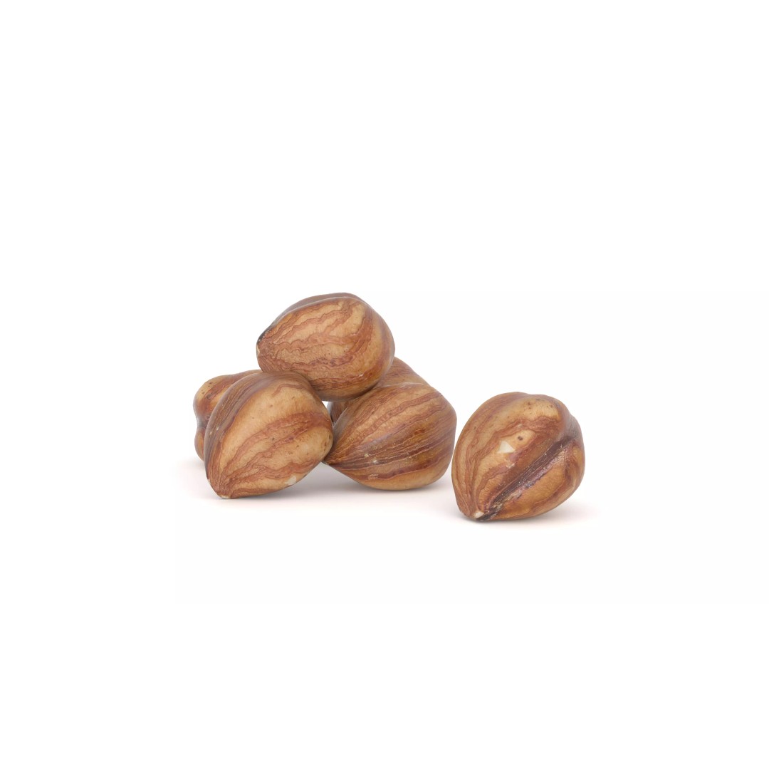 Hazelnut Kernel 3D Model – Low Poly Food Asset, FBX, OBJ - View 2