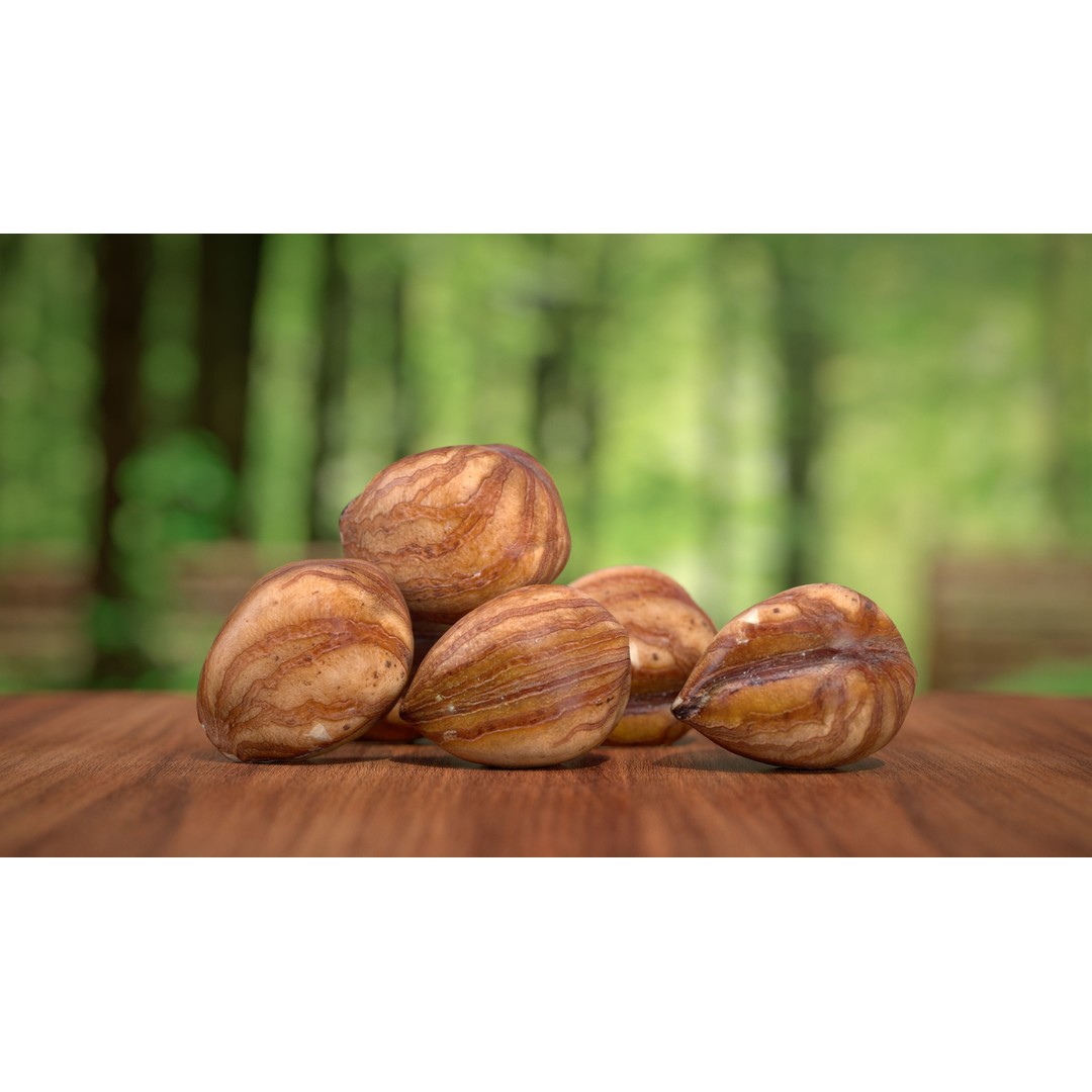 Hazelnut Kernel 3D Model – Low Poly Food Asset, FBX, OBJ - View 3