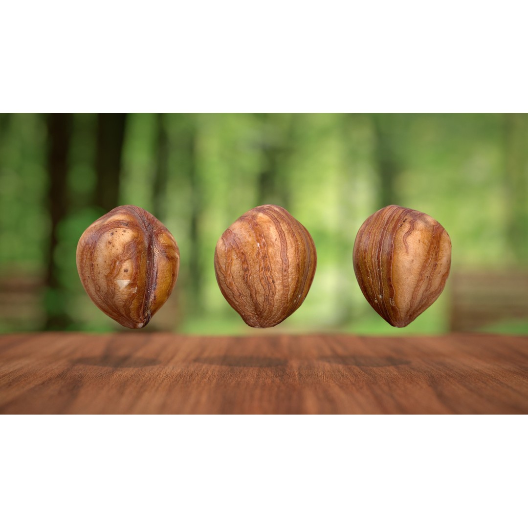 Hazelnut Kernel 3D Model – Low Poly Food Asset, FBX, OBJ - View 4