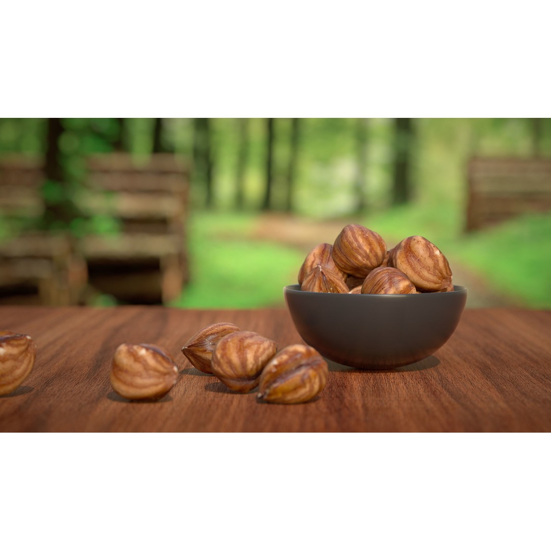 Hazelnut Kernel 3D Model – Low Poly Food Asset, FBX, OBJ - View 6