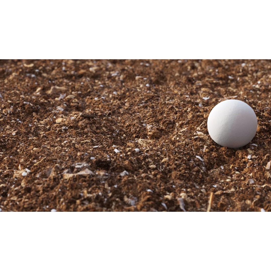 Pot Soil Texture 3D Model – High Resolution Seamless PBR Texture - View 2