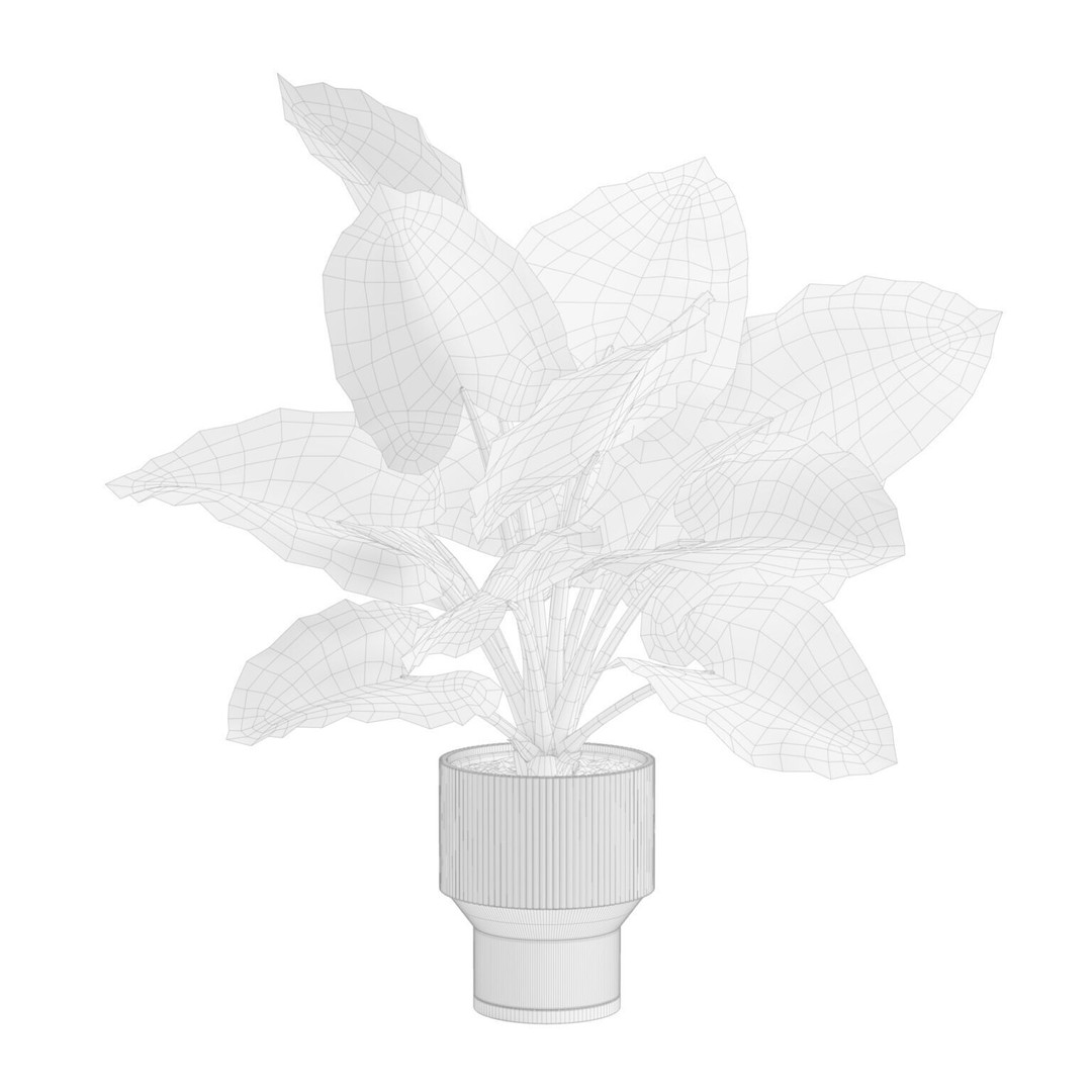 Potted Alocasia Macrorrhiza 3D Model – Tropical Houseplant, PBR Textures - View 4