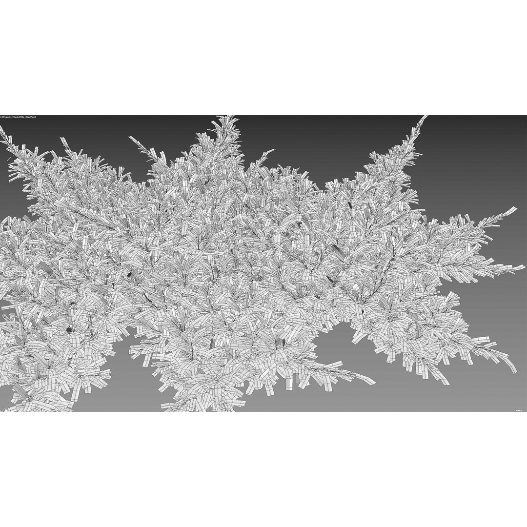 Creeping Juniper 3D Model – PBR Plant Asset, FBX Format