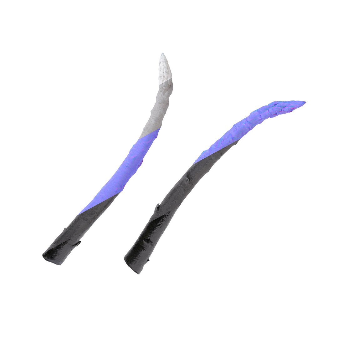 Asparagus 3D Model – Detailed Photo-Scanned Vegetable Asset, FBX/OBJ