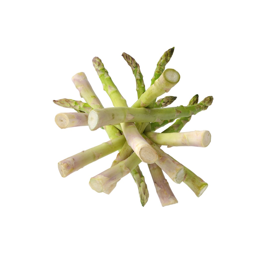 Asparagus 3D Model – Detailed Photo-Scanned Vegetable Asset, FBX/OBJ - View 11