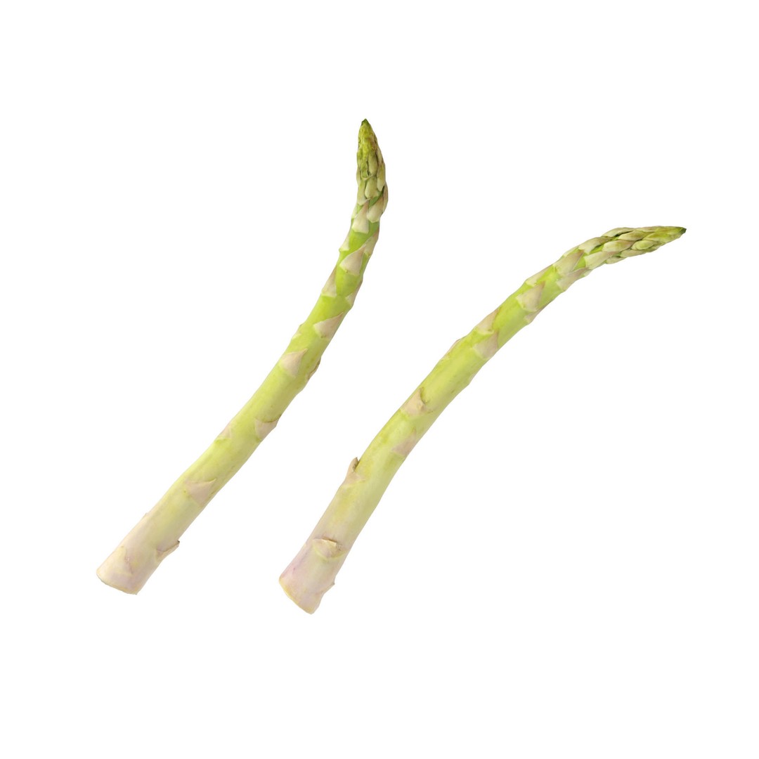 Asparagus 3D Model – Detailed Photo-Scanned Vegetable Asset, FBX/OBJ - View 12