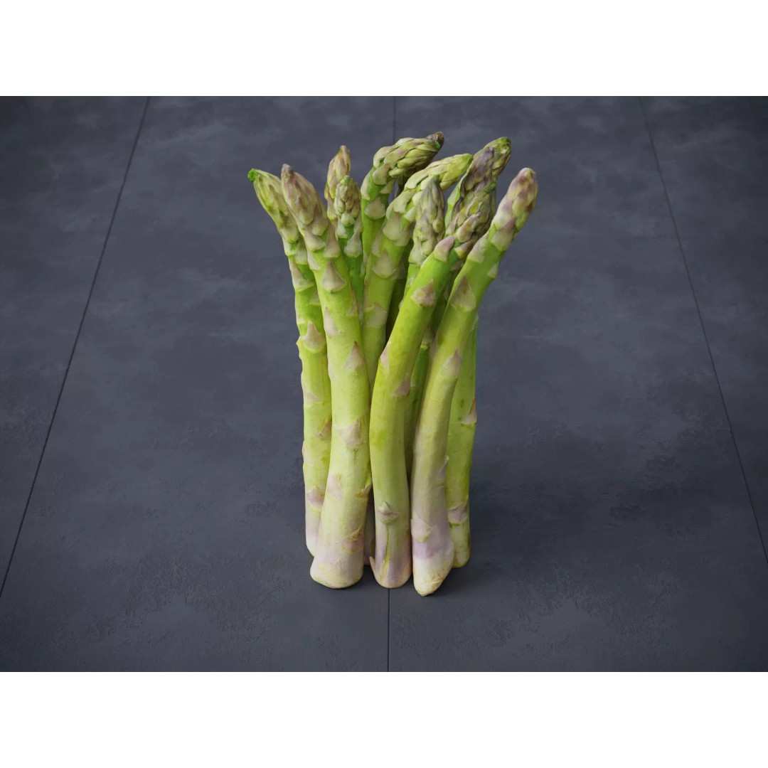 Asparagus 3D Model – Detailed Photo-Scanned Vegetable Asset, FBX/OBJ - View 2