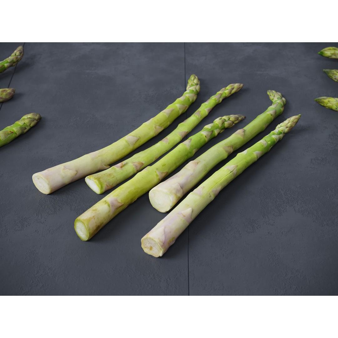 Asparagus 3D Model – Detailed Photo-Scanned Vegetable Asset, FBX/OBJ - View 3