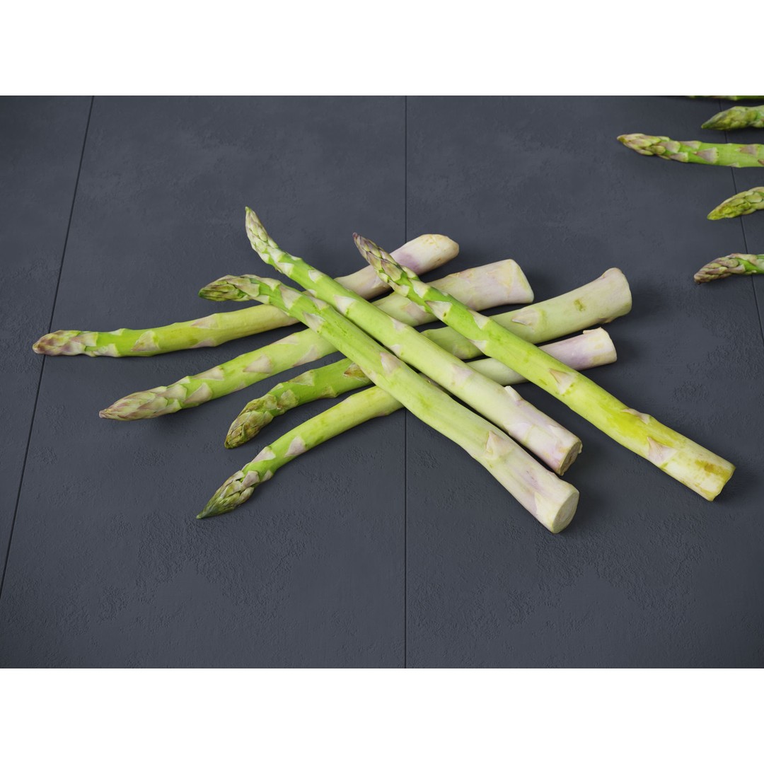 Asparagus 3D Model – Detailed Photo-Scanned Vegetable Asset, FBX/OBJ - View 4
