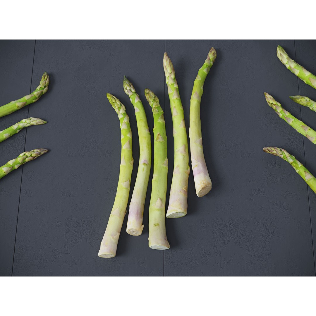 Asparagus 3D Model – Detailed Photo-Scanned Vegetable Asset, FBX/OBJ - View 5