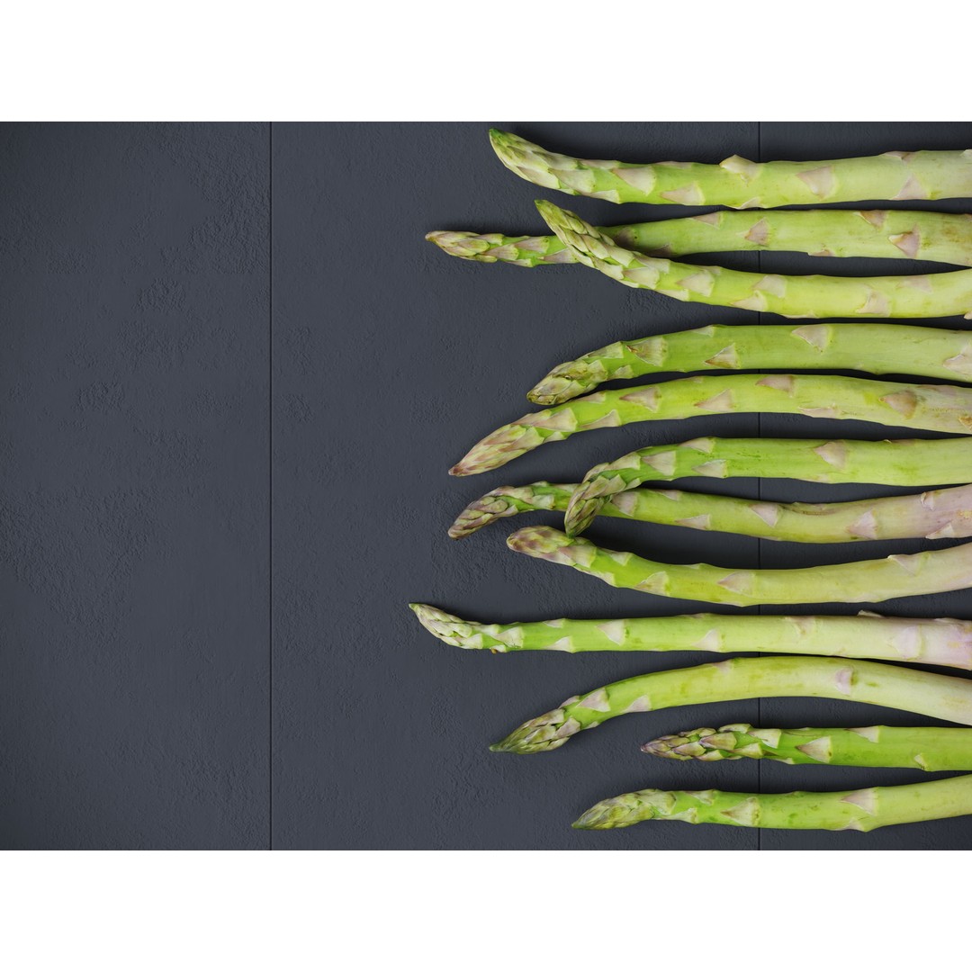 Asparagus 3D Model – Detailed Photo-Scanned Vegetable Asset, FBX/OBJ - View 6