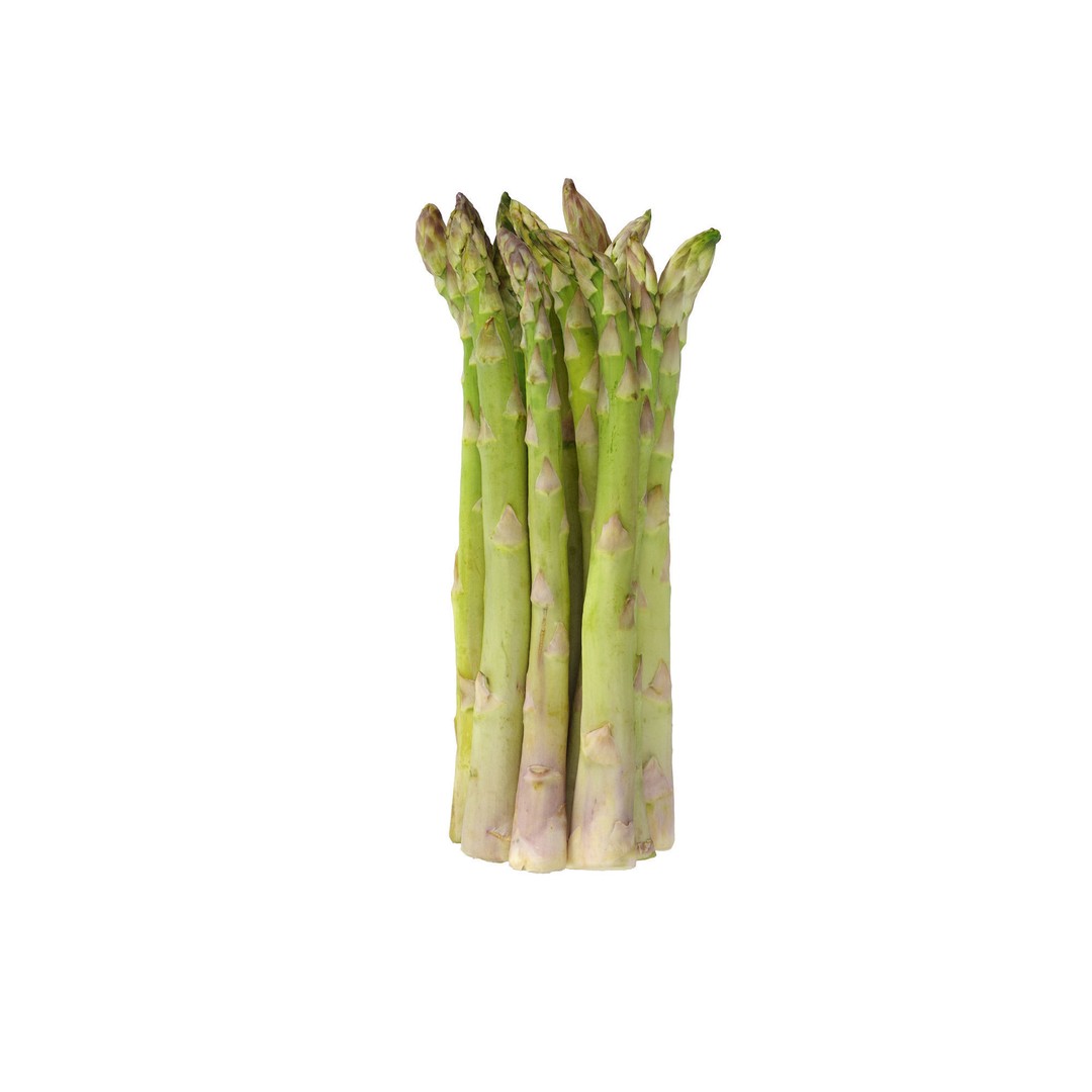 Asparagus 3D Model – Detailed Photo-Scanned Vegetable Asset, FBX/OBJ - View 7
