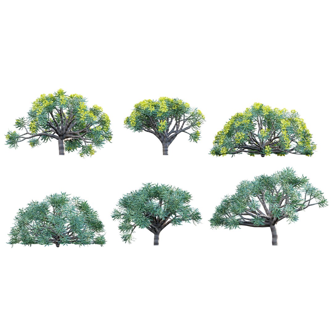 Mediterranean Garden 3D Model – Diverse Plant Collection, FBX - View 14