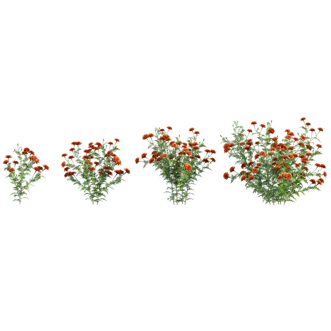 Mediterranean Garden 3D Model – Diverse Plant Collection, FBX - View 16