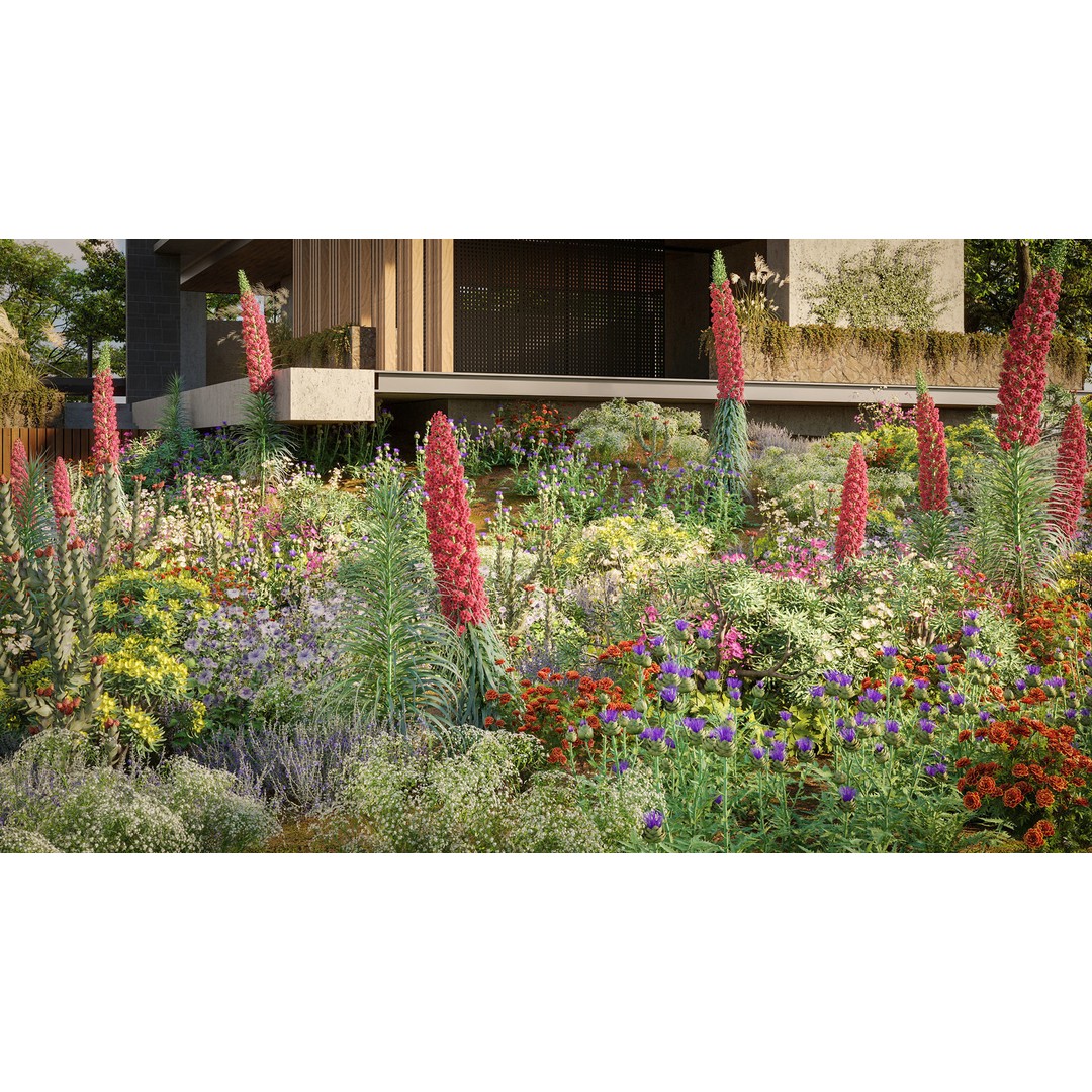 Mediterranean Garden 3D Model – Diverse Plant Collection, FBX - View 4
