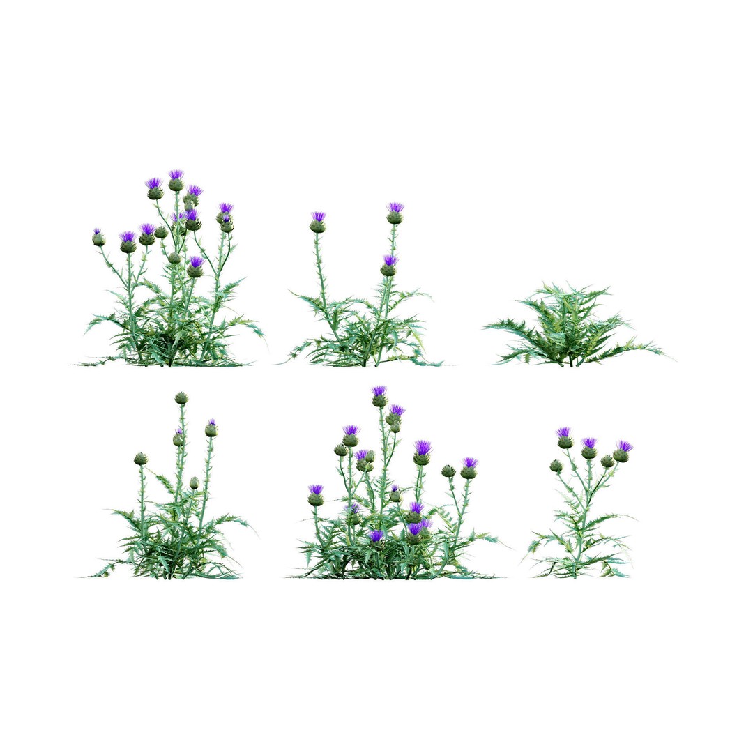 Mediterranean Garden 3D Model – Diverse Plant Collection, FBX - View 9