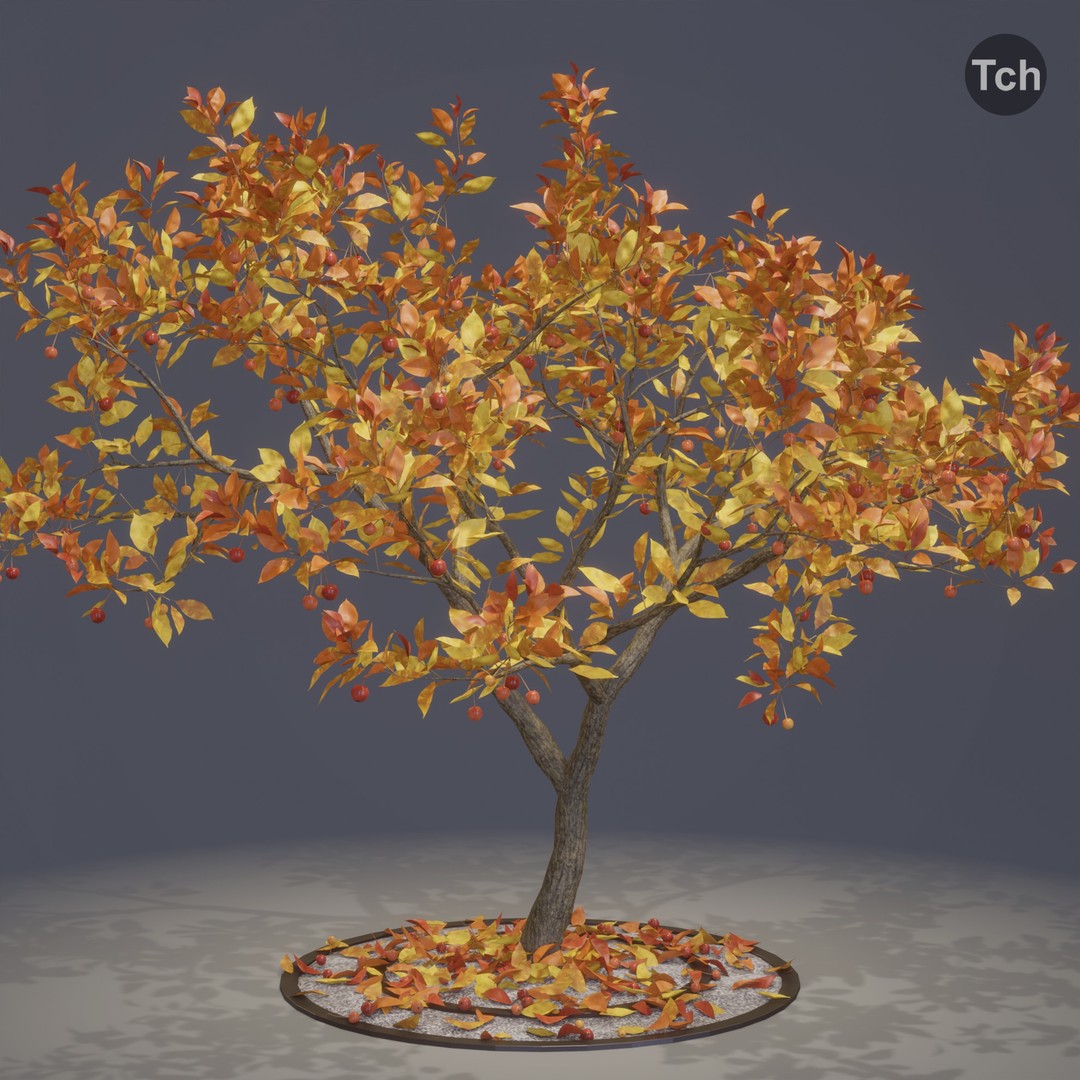 Four Seasons Tree 3D Model – Realistic PBR Trees for Games, FBX & Blender - View 11