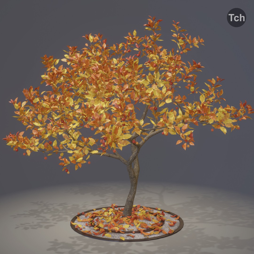 Four Seasons Tree 3D Model – Realistic PBR Trees for Games, FBX & Blender - View 12