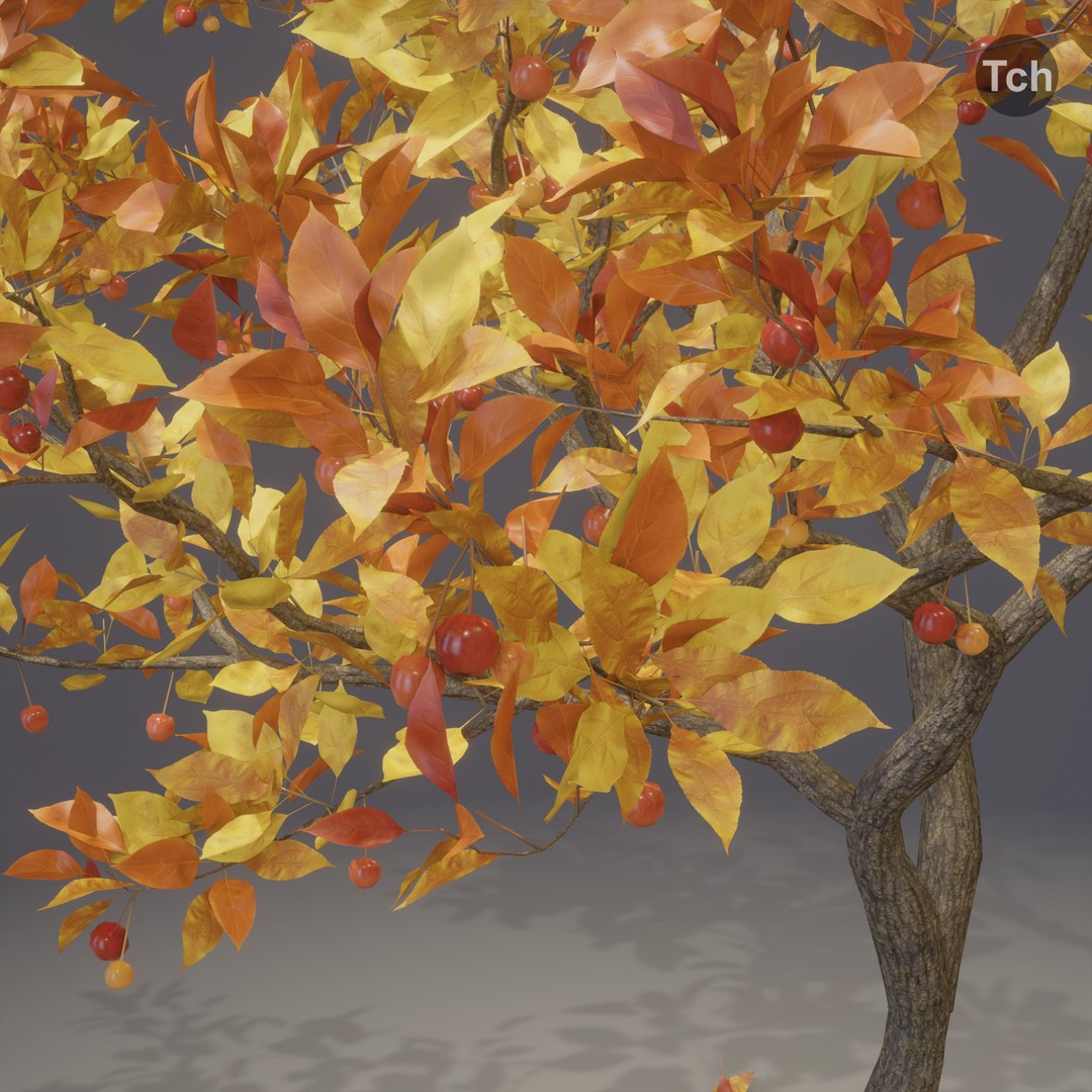 Four Seasons Tree 3D Model – Realistic PBR Trees for Games, FBX & Blender - View 14