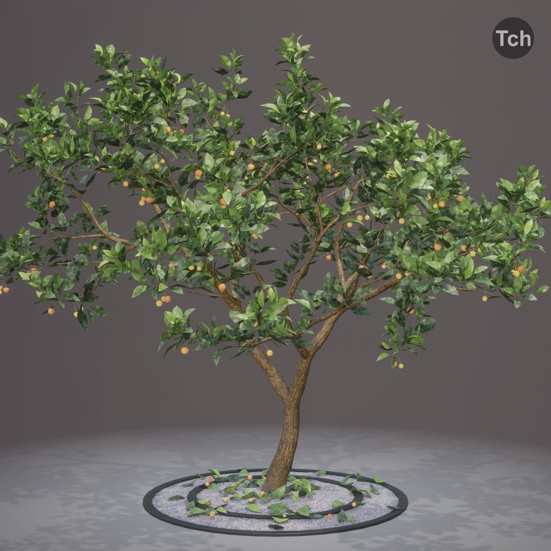 Four Seasons Tree 3D Model – Realistic PBR Trees for Games, FBX & Blender - View 7