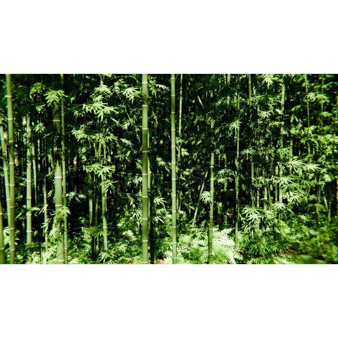 Japanese Bamboo Forest 3D Model – High Poly Environment, FBX, Unreal Engine - View 7