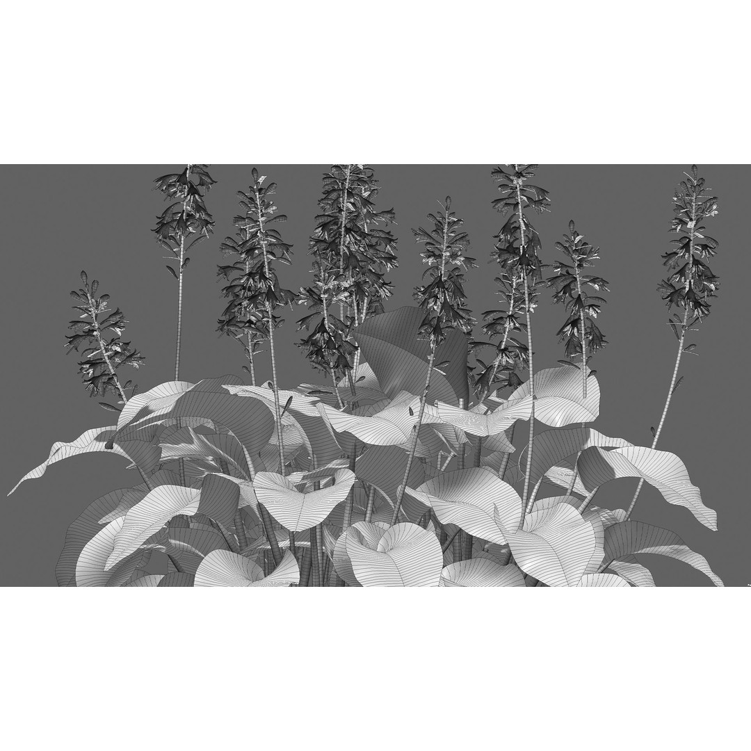 Hosta 3D Model – PBR Plantain Lily with Textures, FBX