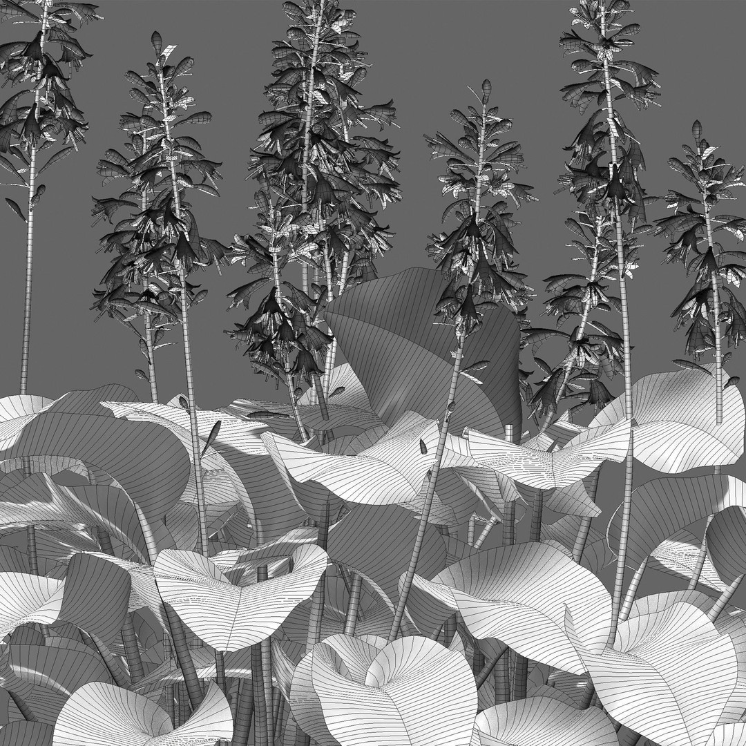 Hosta 3D Model – PBR Plantain Lily with Textures, FBX - View 8