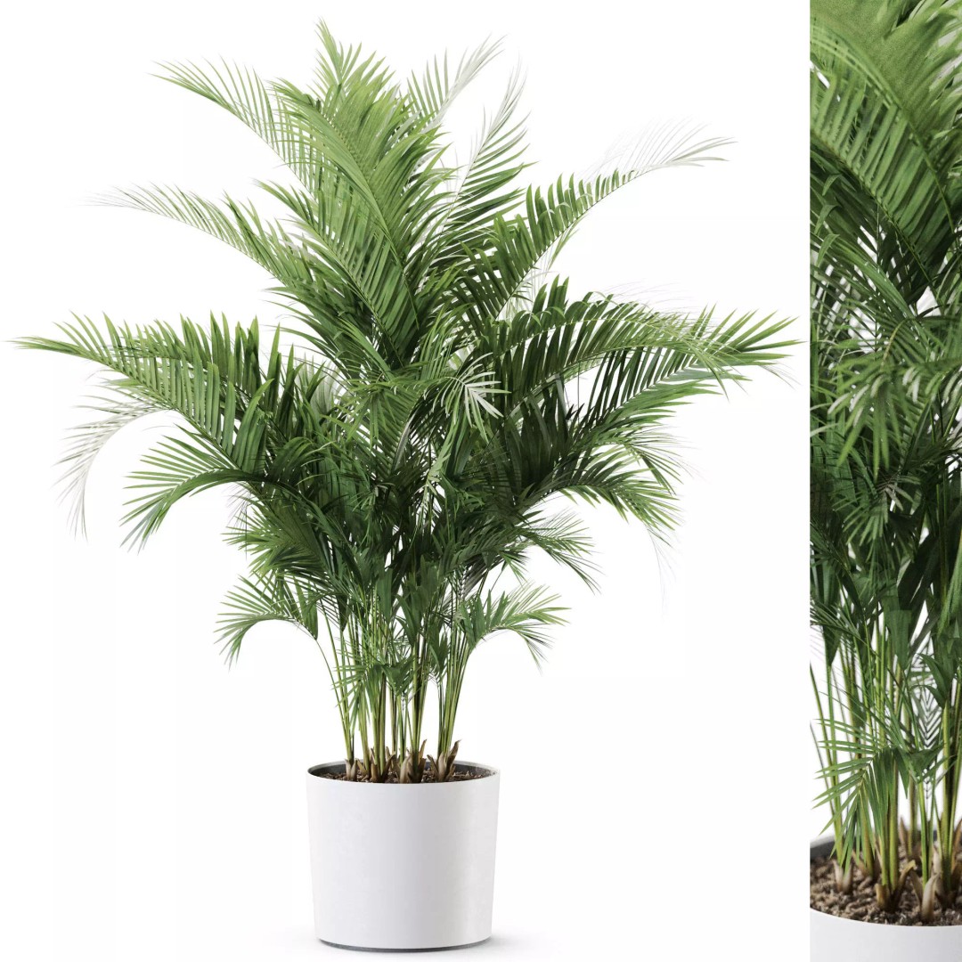 Plant 1246 3D Model – High-Quality PBR Asset for Archviz and Design - View 2