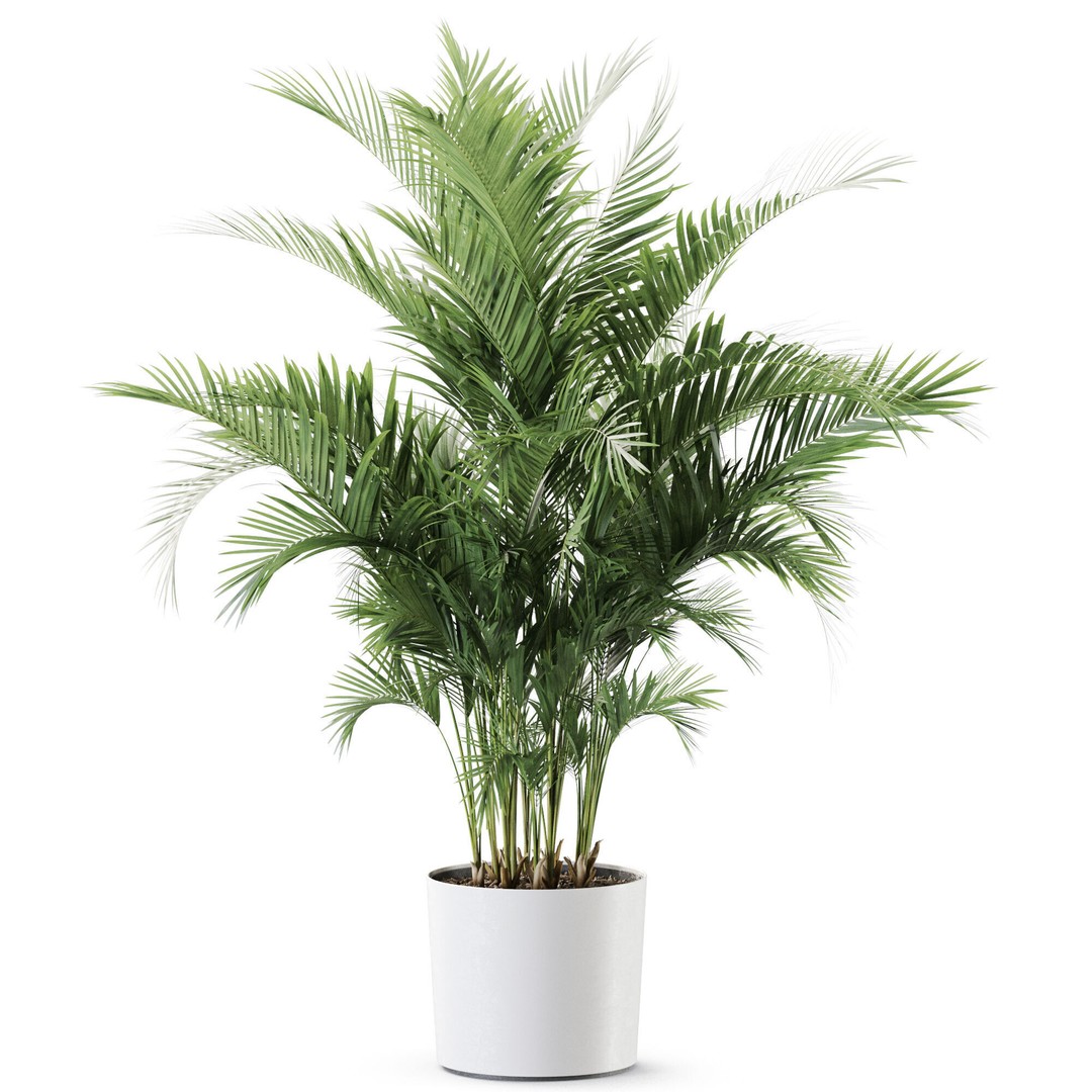Plant 1246 3D Model – High-Quality PBR Asset for Archviz and Design - View 3