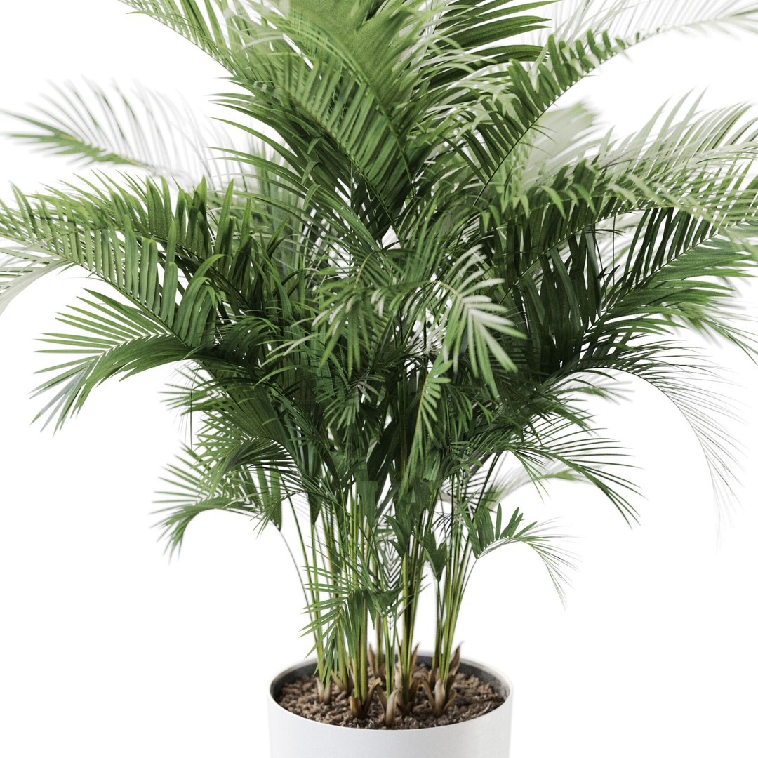 Plant 1246 3D Model – High-Quality PBR Asset for Archviz and Design - View 4