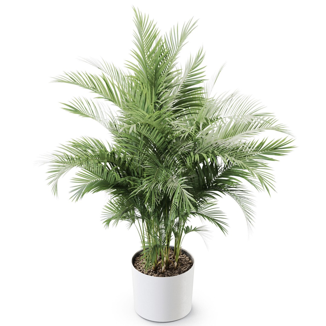 Plant 1246 3D Model – High-Quality PBR Asset for Archviz and Design - View 5