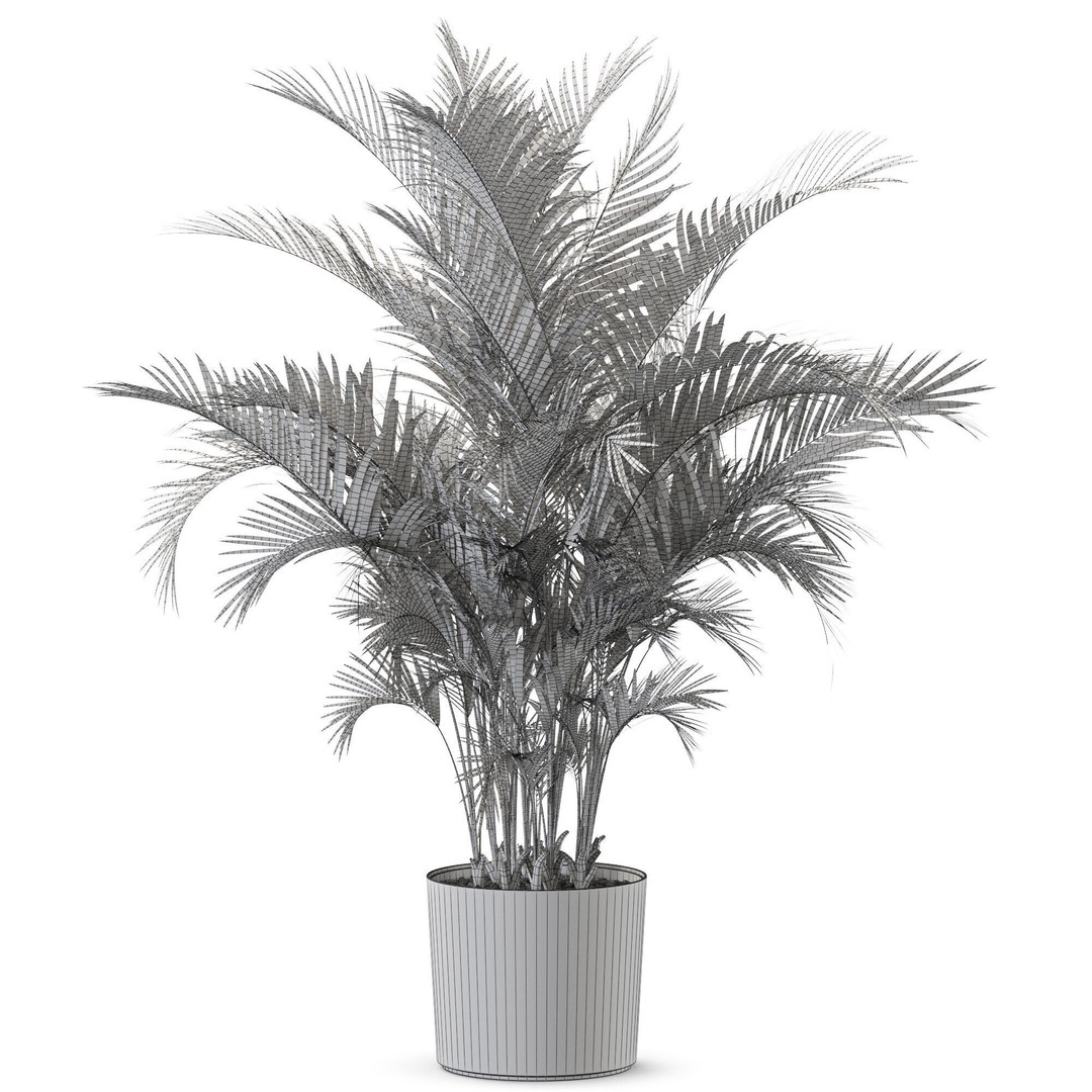 Plant 1246 3D Model – High-Quality PBR Asset for Archviz and Design - View 6