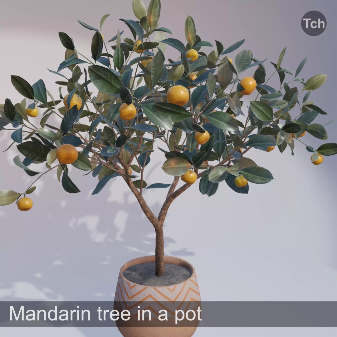 Mandarin Tree 3D Model – Low Poly Pot Plant with PBR Textures, FBX - View 2