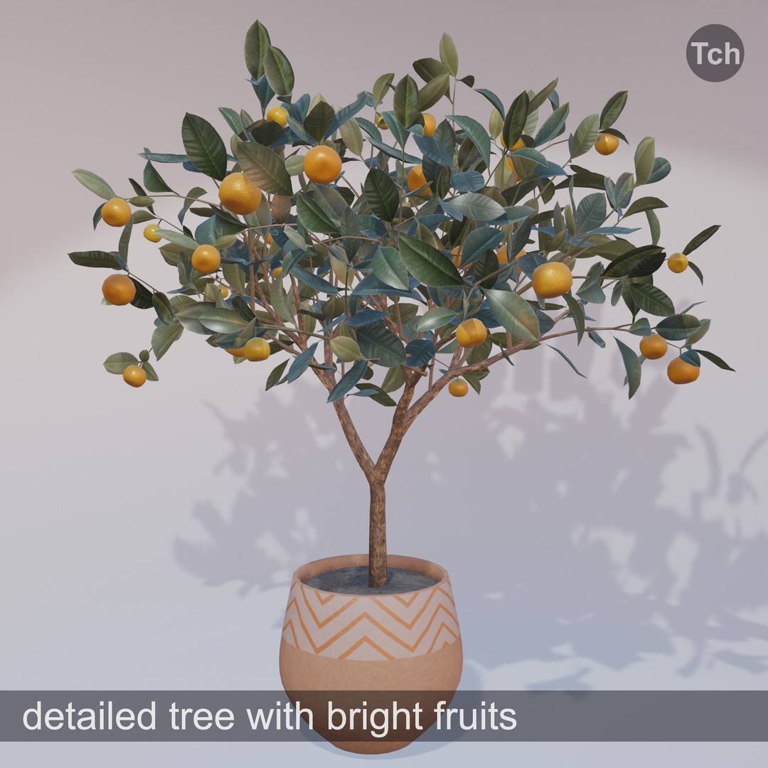 Mandarin Tree 3D Model – Low Poly Pot Plant with PBR Textures, FBX - View 3
