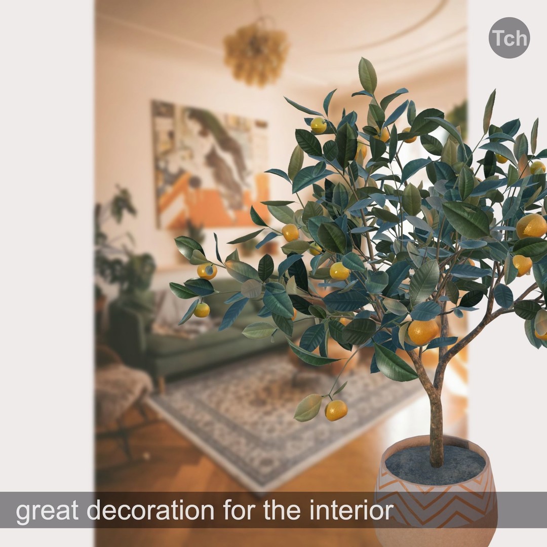 Mandarin Tree 3D Model – Low Poly Pot Plant with PBR Textures, FBX - View 4