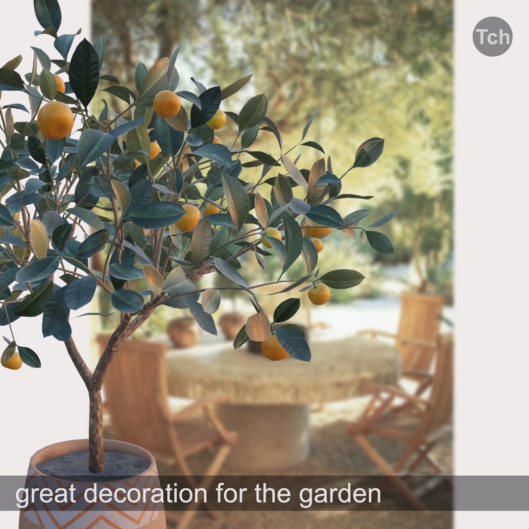 Mandarin Tree 3D Model – Low Poly Pot Plant with PBR Textures, FBX - View 5