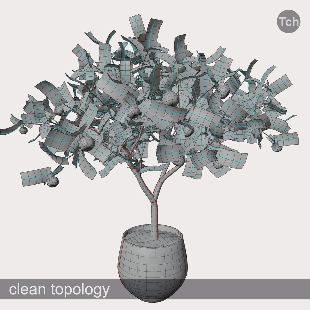 Mandarin Tree 3D Model – Low Poly Pot Plant with PBR Textures, FBX - View 7
