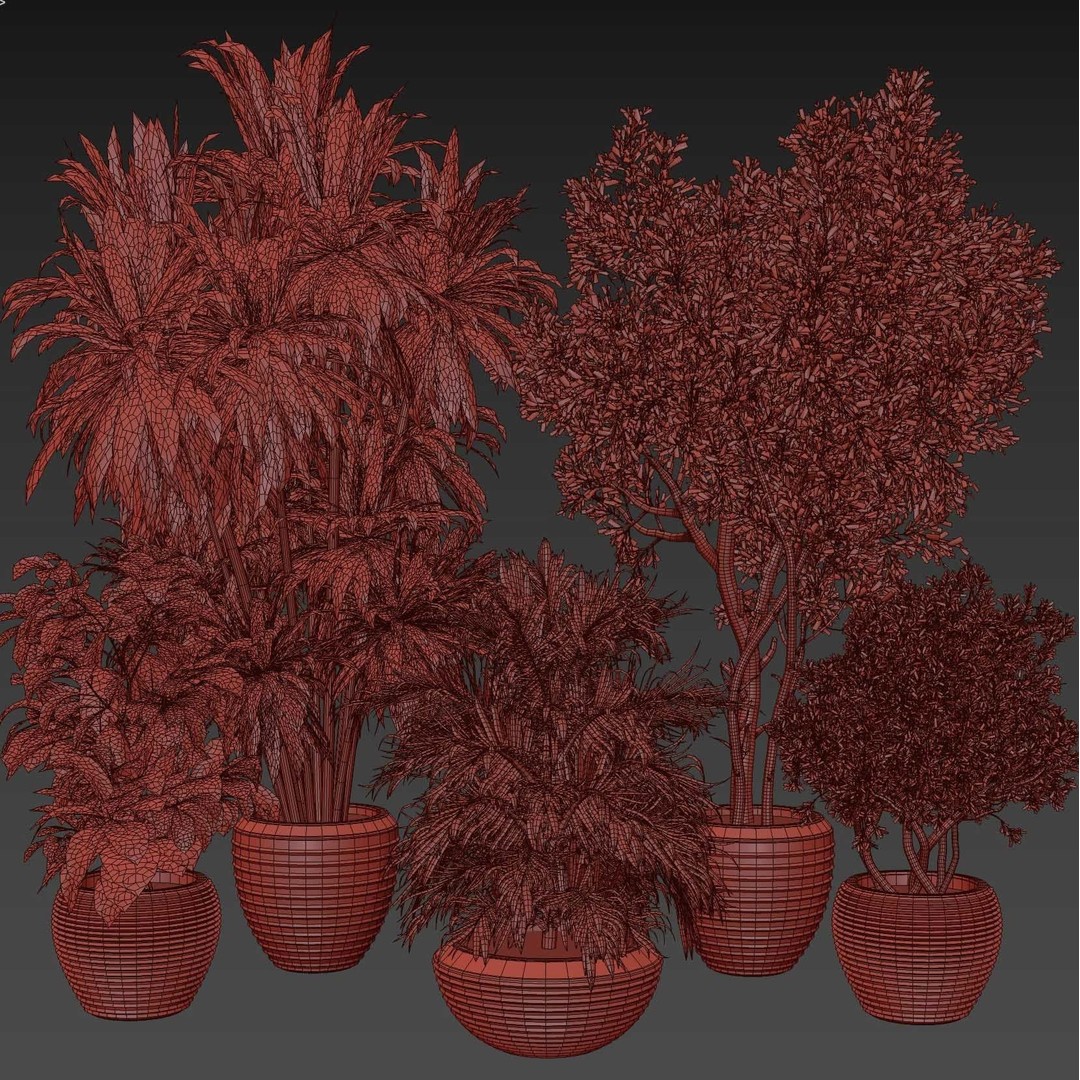 Indoor Plant Set 3D Model – Concrete Vase, Palm Tree, PBR Textures