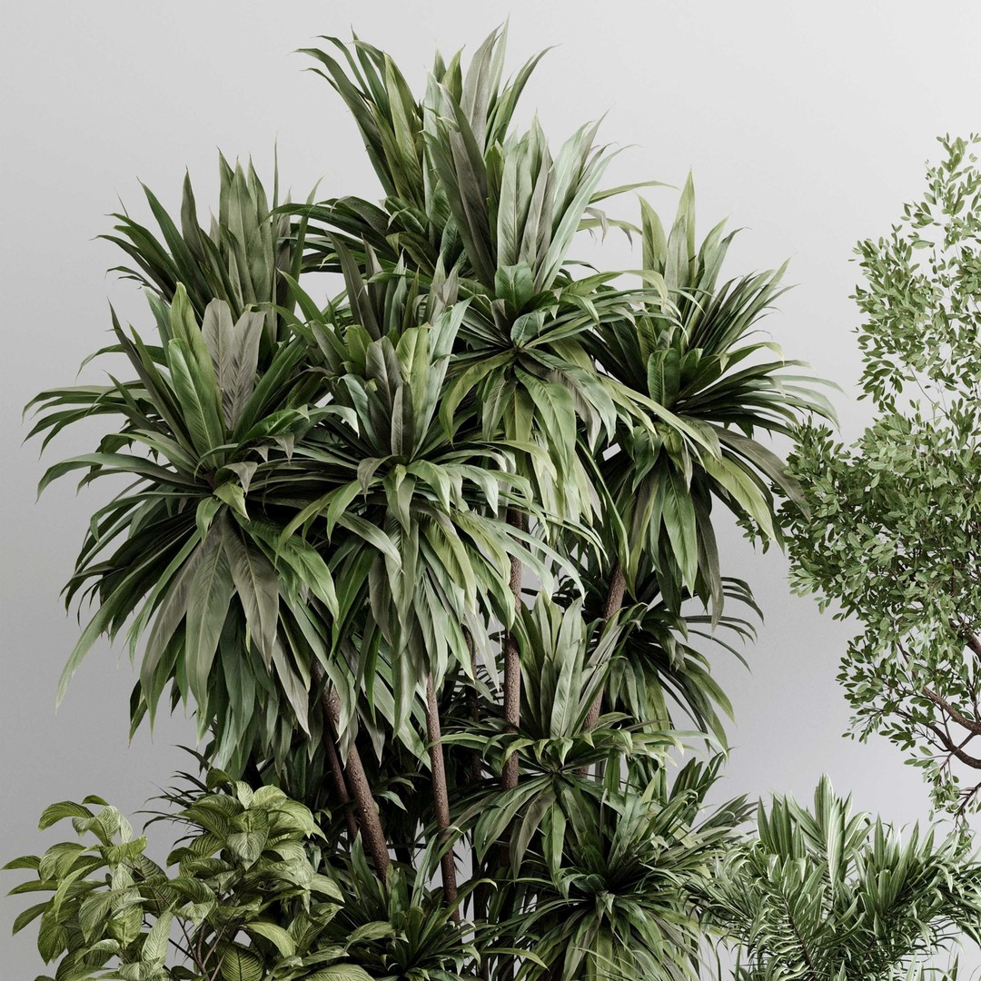 Indoor Plant Set 3D Model – Concrete Vase, Palm Tree, PBR Textures - View 5