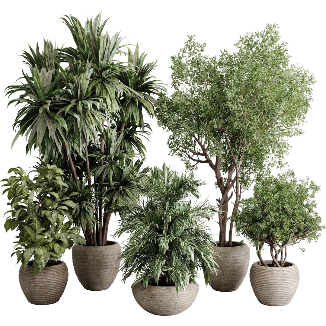 Indoor Plant Set 3D Model – Concrete Vase, Palm Tree, PBR Textures - View 8