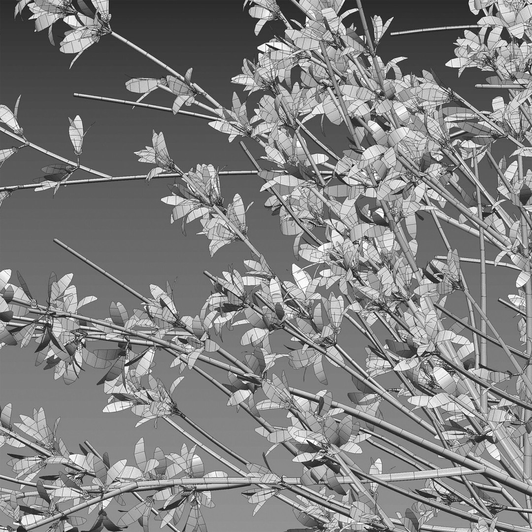 Forsythia Suspensa 3D Model – Weeping Bush with PBR Textures, FBX - View 6