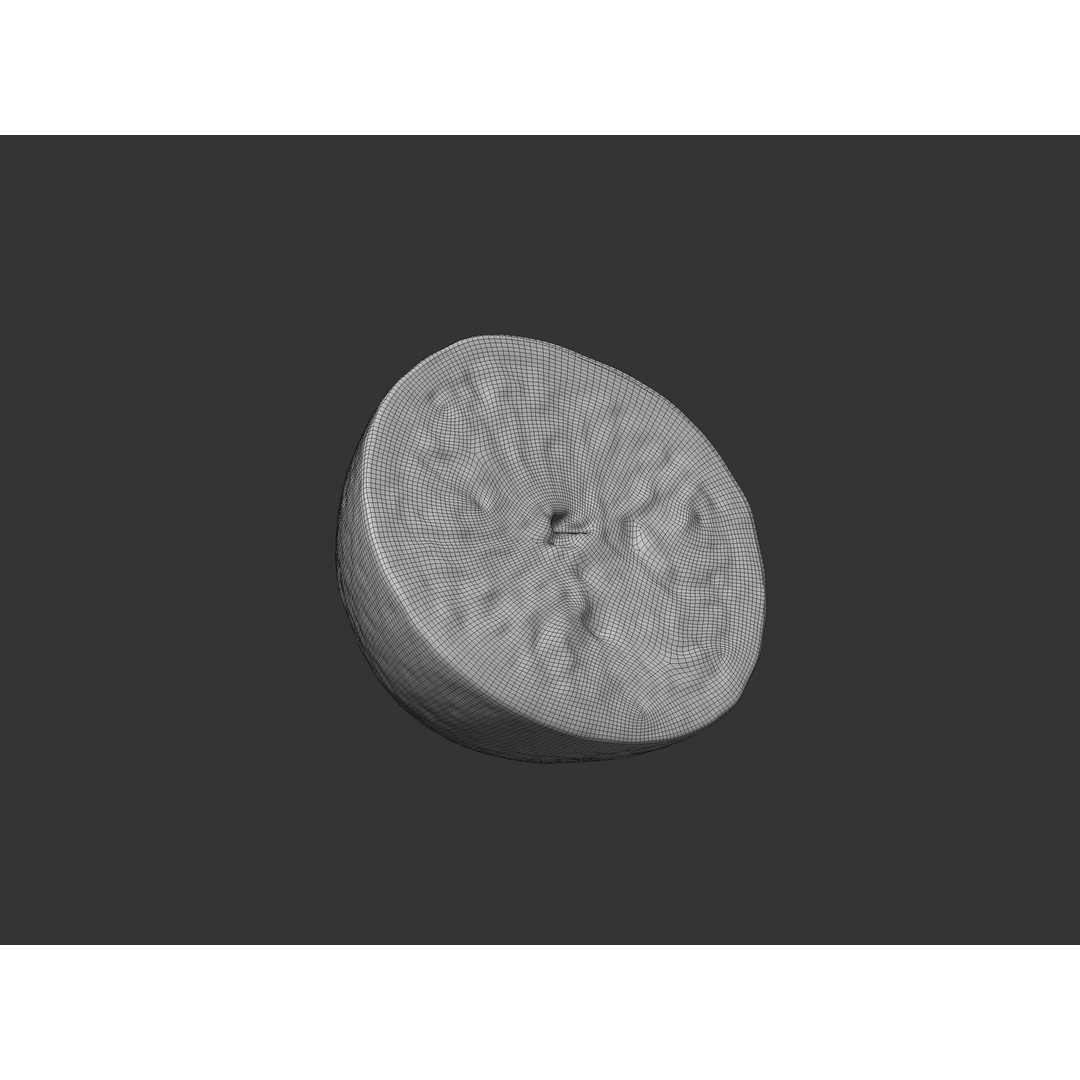 Half Cut Orange 3D Model – Realistic PBR Asset, FBX, OBJ, C4D - View 10